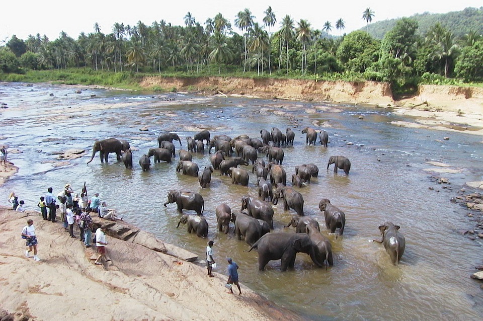 excursion groupe sri lanka
